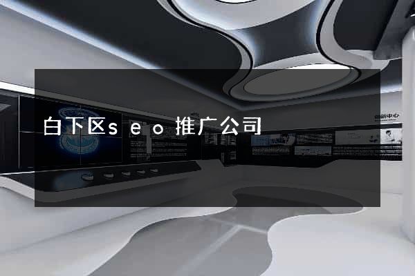 白下区seo推广公司