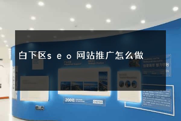 白下区seo网站推广怎么做