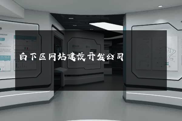 白下区网站建设开发公司