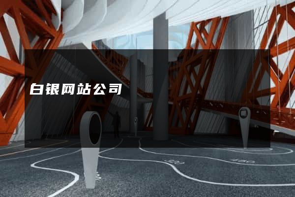 白银网站公司