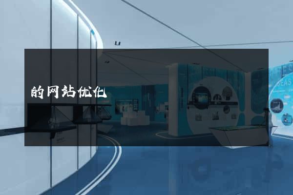 的网站优化