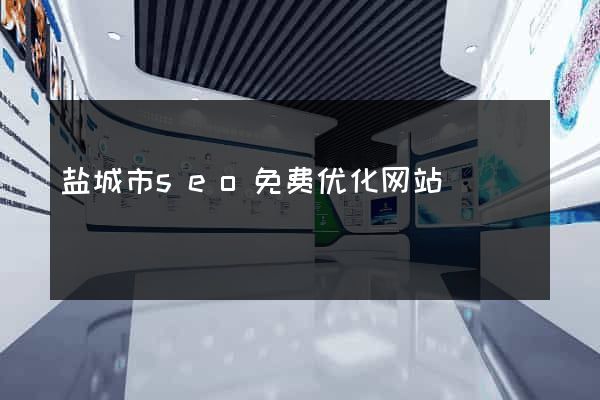 盐城市seo免费优化网站
