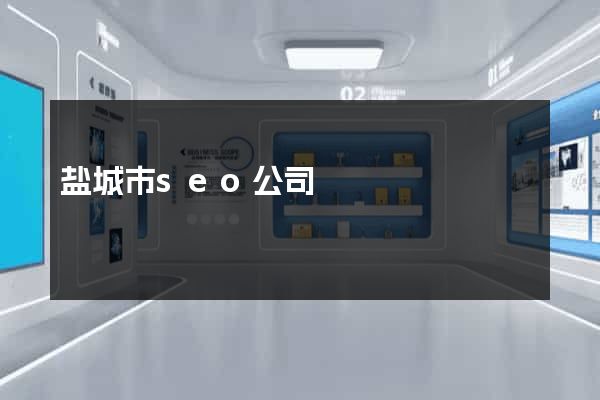 盐城市seo公司