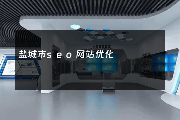 盐城市seo网站优化