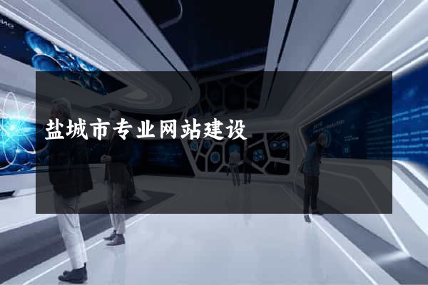 盐城市专业网站建设