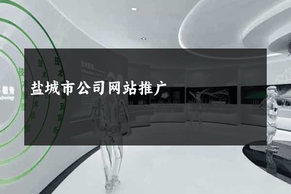 盐城市公司网站推广