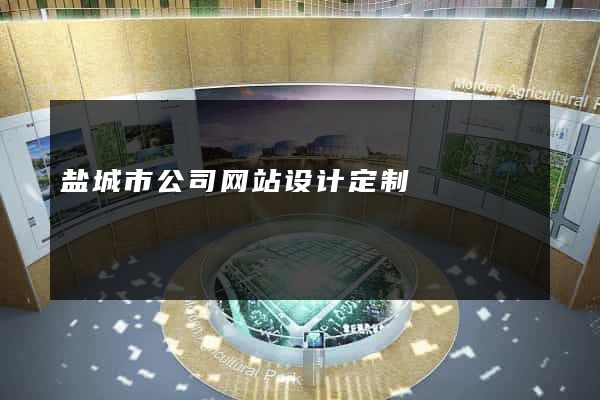 盐城市公司网站设计定制