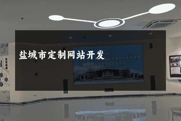 盐城市定制网站开发