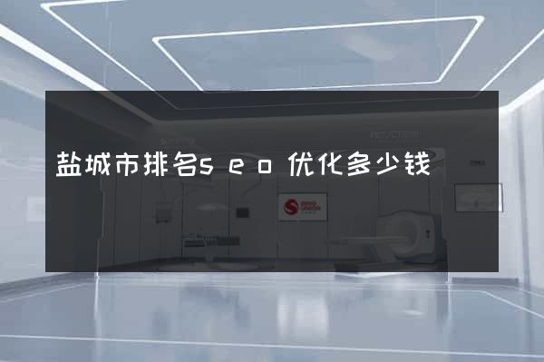 盐城市排名seo优化多少钱