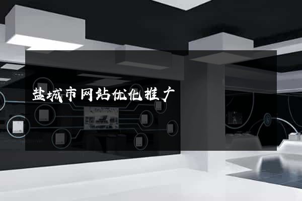 盐城市网站优化推广