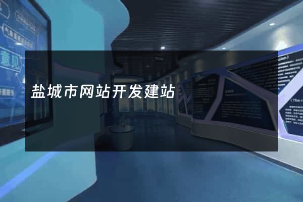 盐城市网站开发建站