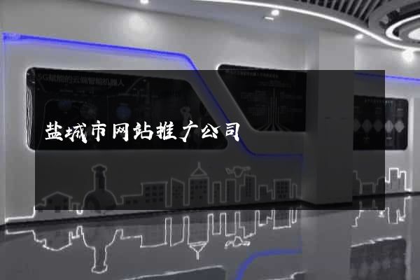 盐城市网站推广公司