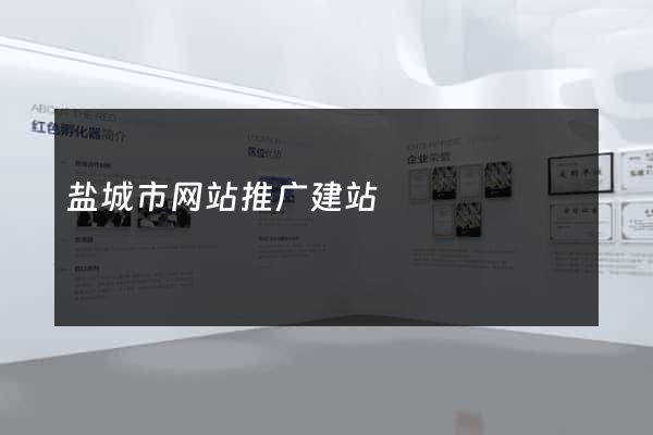 盐城市网站推广建站