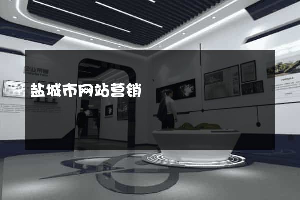 盐城市网站营销