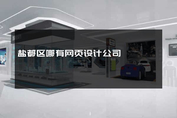 盐都区哪有网页设计公司