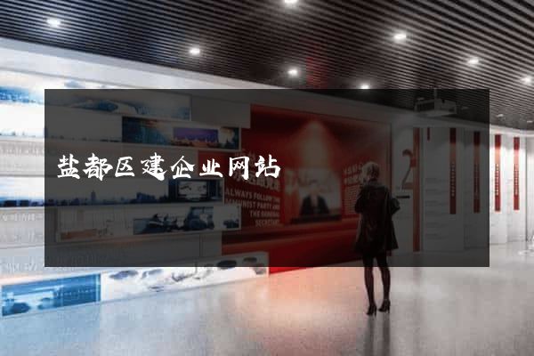 盐都区建企业网站