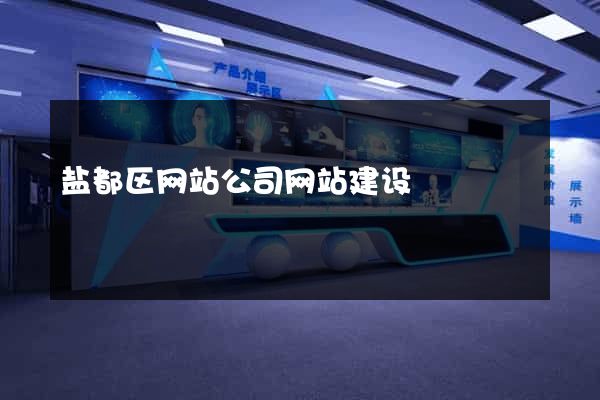 盐都区网站公司网站建设