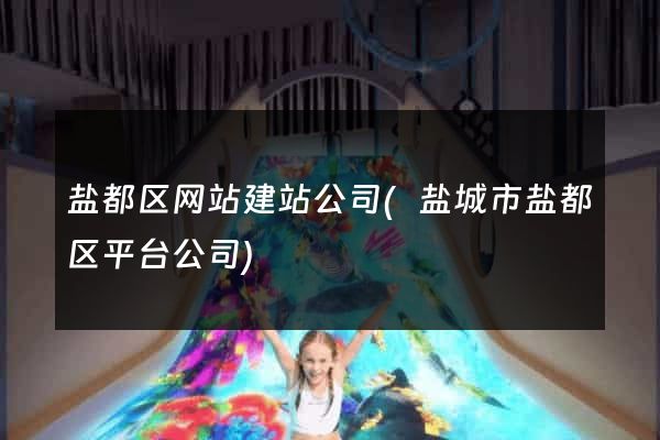 盐都区网站建站公司(盐城市盐都区平台公司)