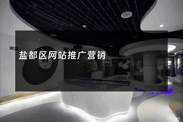 盐都区网站推广营销