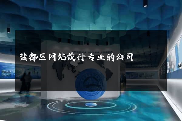 盐都区网站设计专业的公司