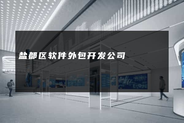 盐都区软件外包开发公司