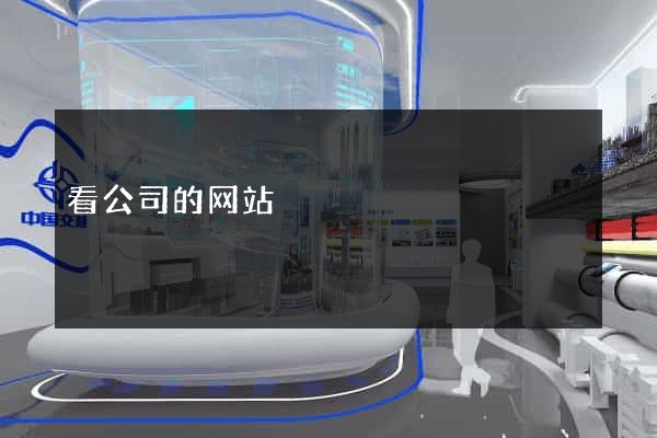 看公司的网站