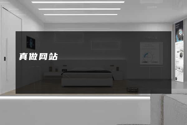 真做网站