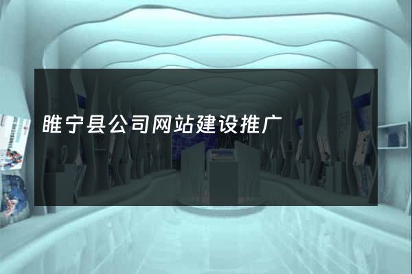 睢宁县公司网站建设推广