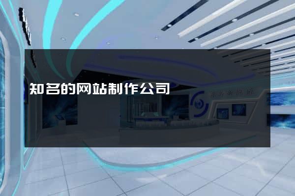 知名的网站制作公司