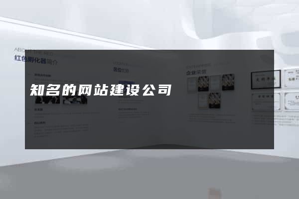 知名的网站建设公司