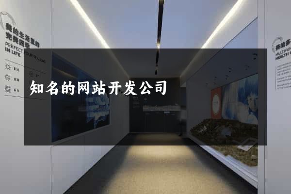 知名的网站开发公司