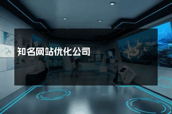 知名网站优化公司