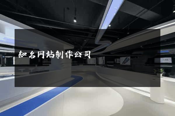 知名网站制作公司
