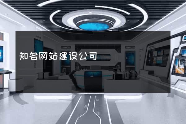 知名网站建设公司