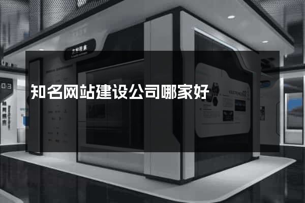 知名网站建设公司哪家好
