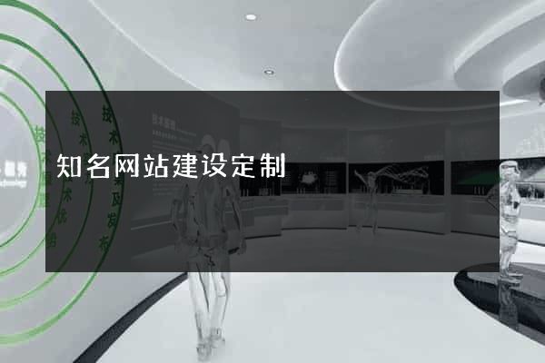 知名网站建设定制