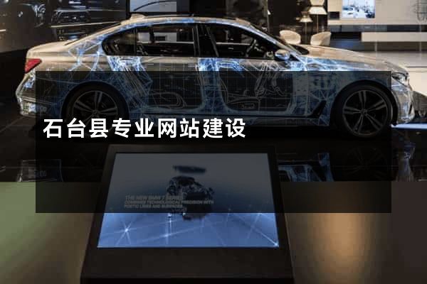 石台县专业网站建设