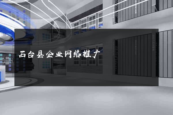石台县企业网络推广