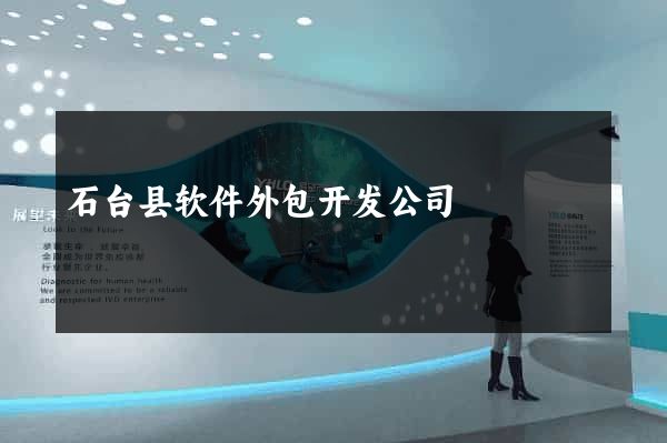 石台县软件外包开发公司