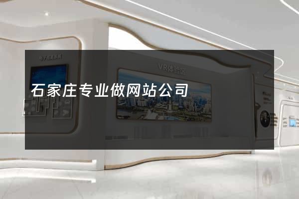 石家庄专业做网站公司