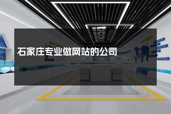 石家庄专业做网站的公司