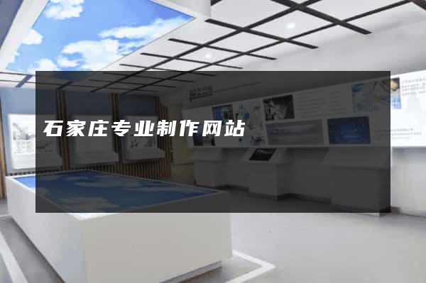 石家庄专业制作网站