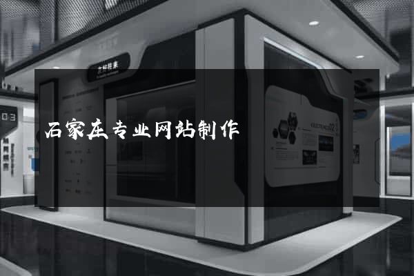 石家庄专业网站制作