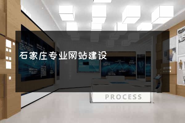 石家庄专业网站建设