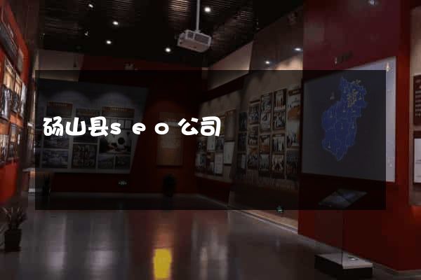 砀山县seo公司