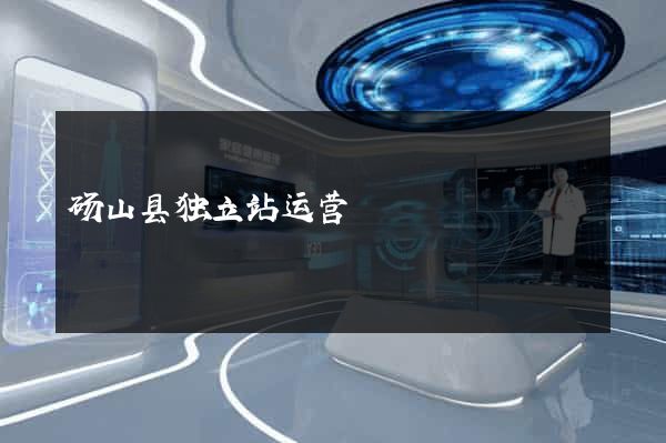砀山县独立站运营