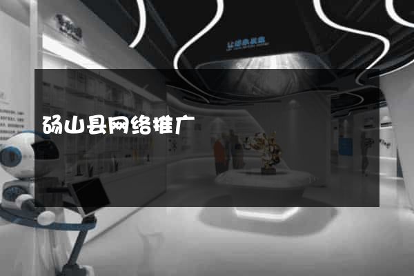 砀山县网络推广