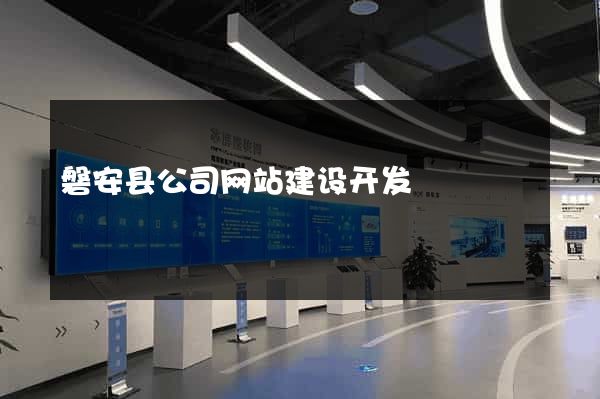 磐安县公司网站建设开发