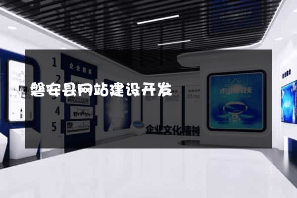 磐安县网站建设开发