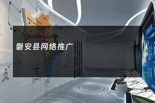 磐安县网络推广